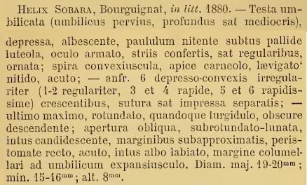 Helix sobara Mabille,1881